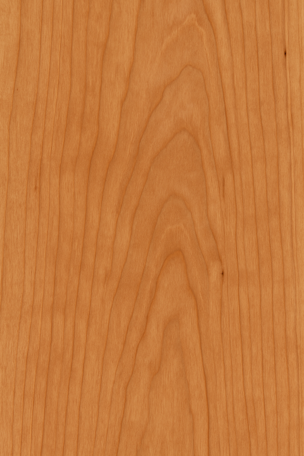 Course Correction Cane – Cherry
