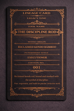 The Discipline Rod archived Ledger record from The Sub Space Boutique