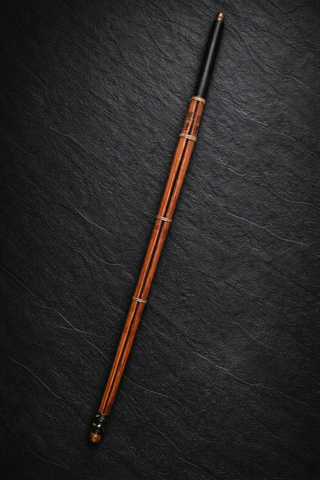 The Discipline Rod completed Ledger record from The Sub Space Boutique