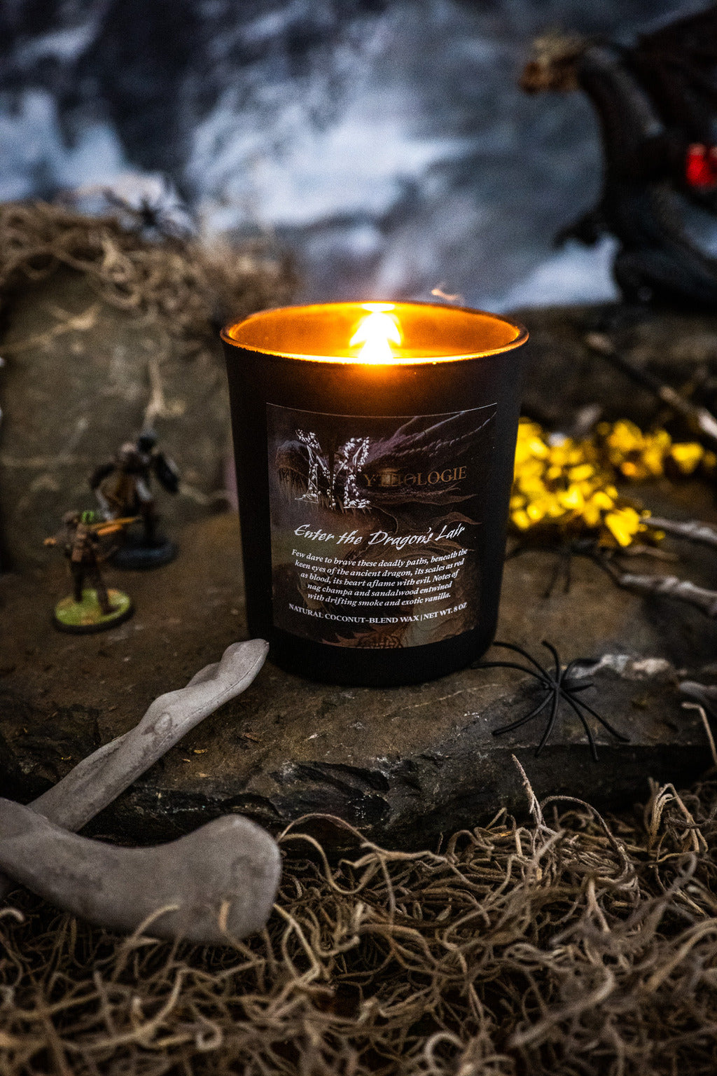 Enter the Dragon's Lair