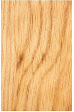 Bench Cut Full Paddle — Blank
