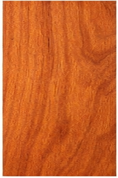Bench Cut Full Paddle — Blank