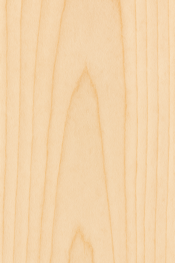 Maple Full Paddle (4" width)