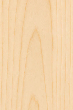 Bench Cut Full Paddle — Blank
