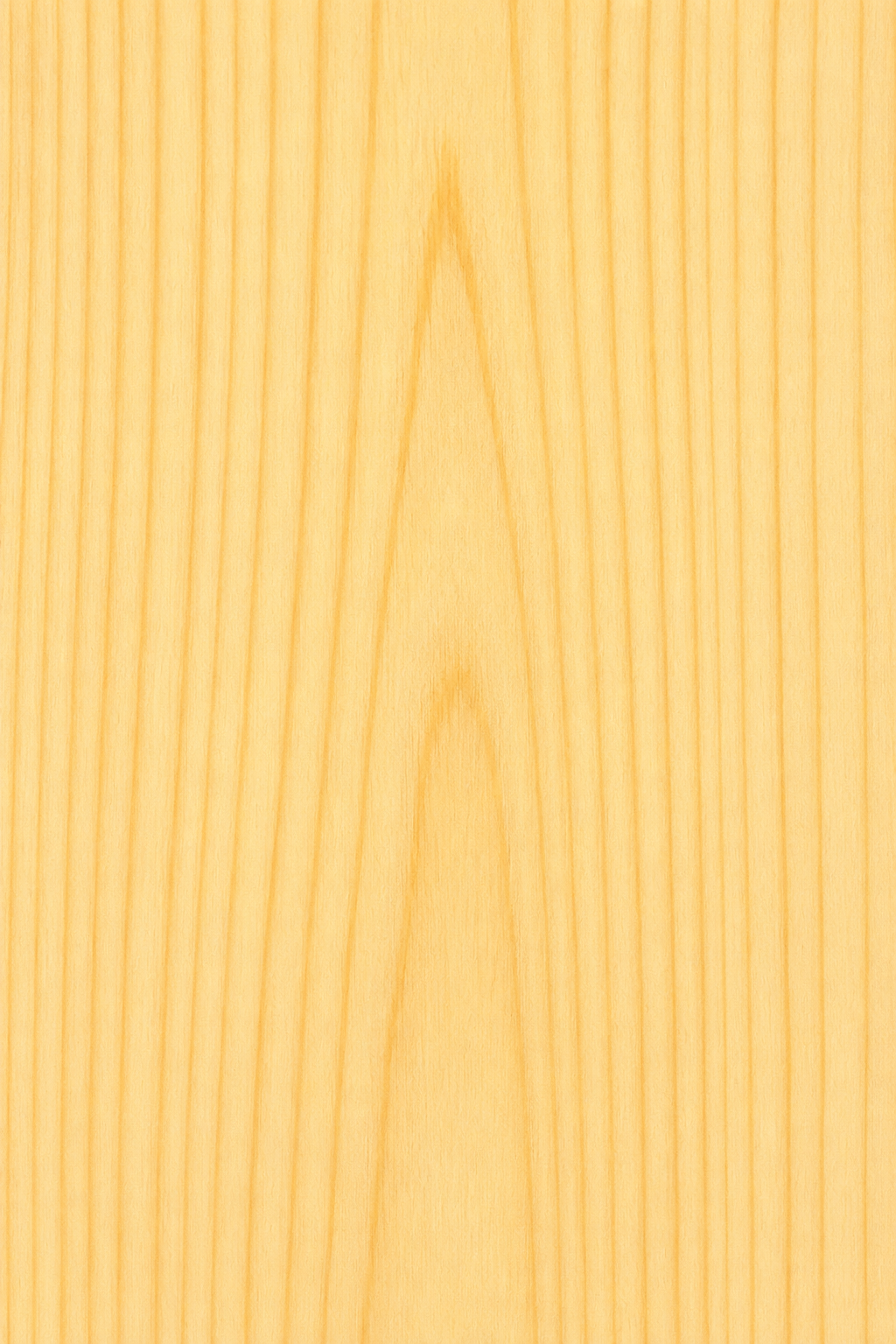 Full Paddle