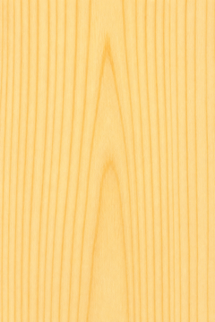 Bench Cut Full Paddle — Blank