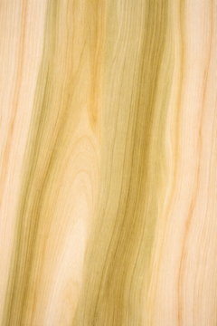 Bench Cut Full Paddle — Blank