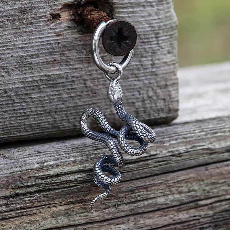 Twist Snake Stainless Steel Earrings