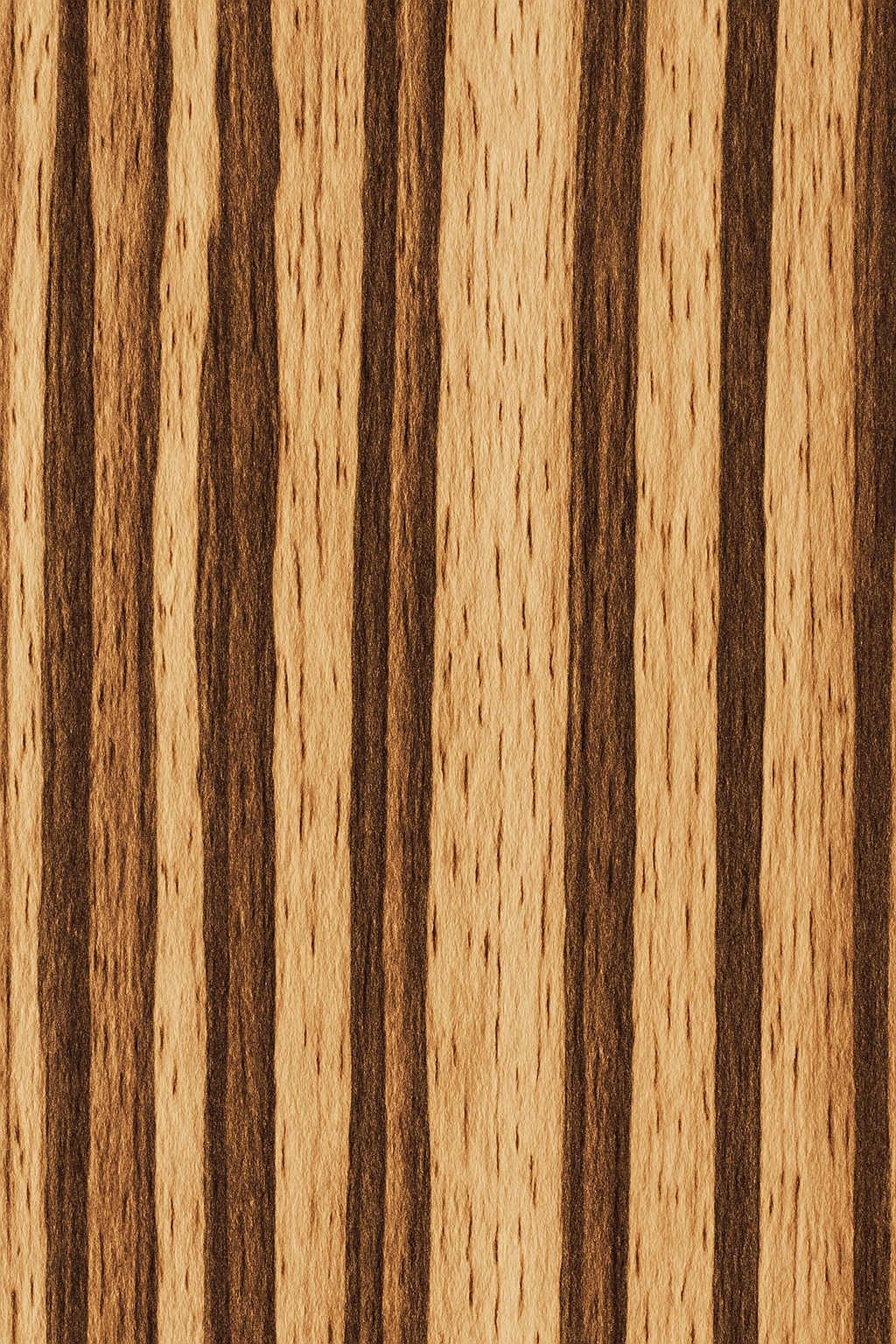 Zebra Half Paddle